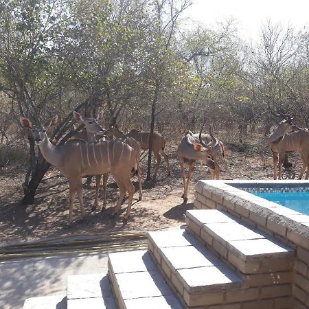 Willa Wild Escape Marloth Park Zewnętrze zdjęcie