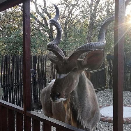 Willa Wild Escape Marloth Park Zewnętrze zdjęcie