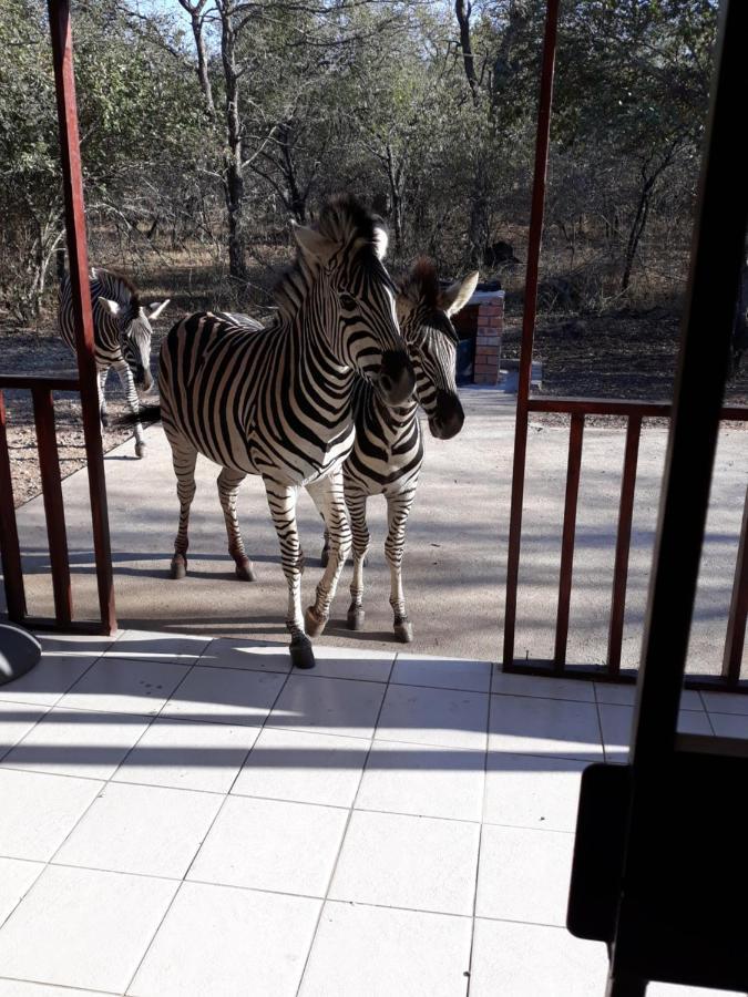 Willa Wild Escape Marloth Park Zewnętrze zdjęcie