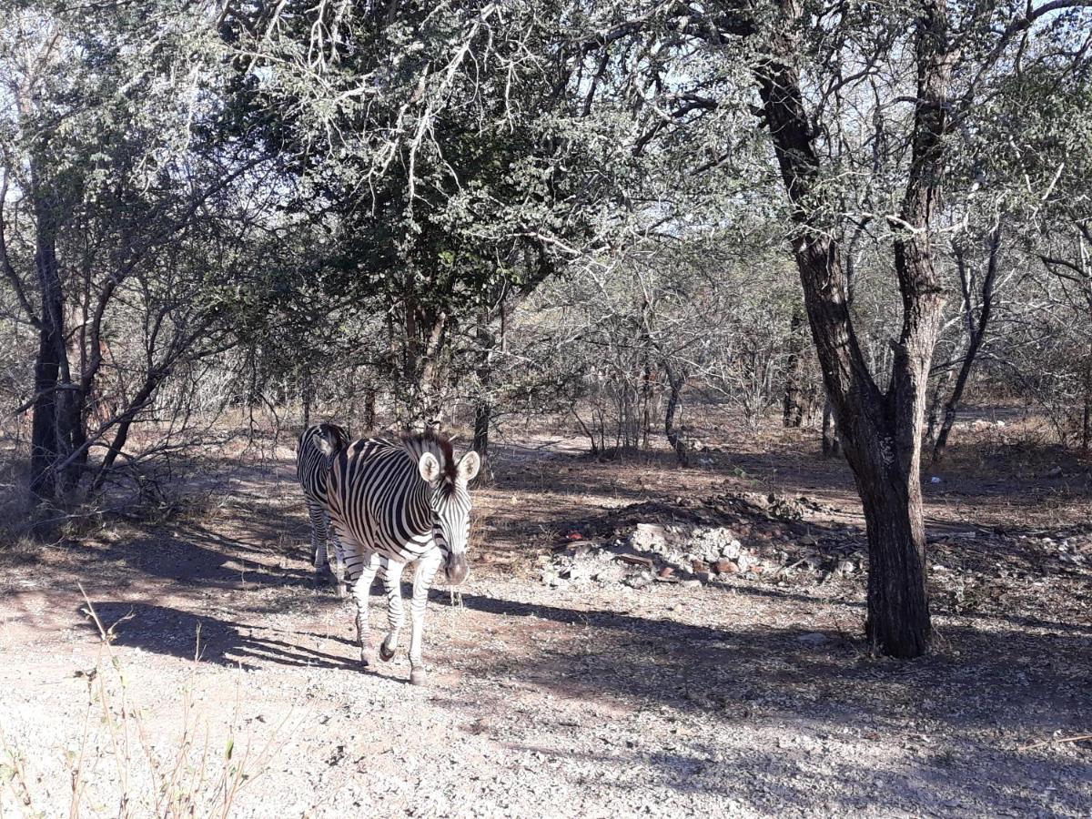 Willa Wild Escape Marloth Park Zewnętrze zdjęcie