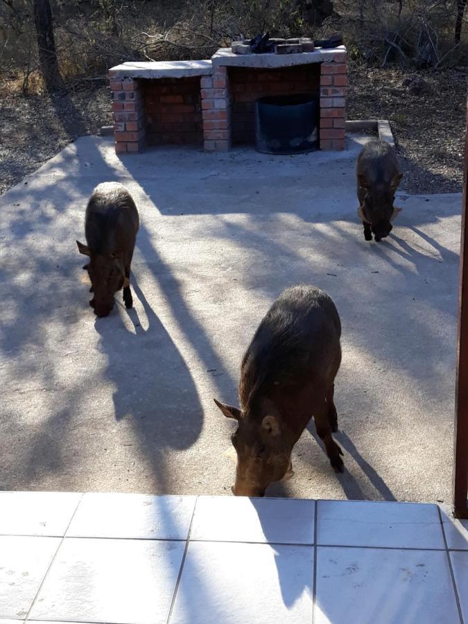 Willa Wild Escape Marloth Park Zewnętrze zdjęcie