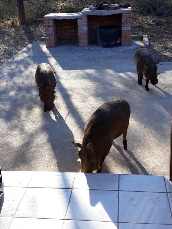 Willa Wild Escape Marloth Park Zewnętrze zdjęcie