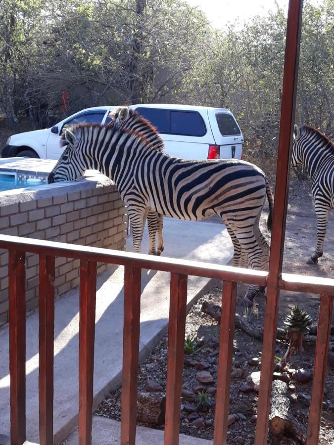 Willa Wild Escape Marloth Park Zewnętrze zdjęcie