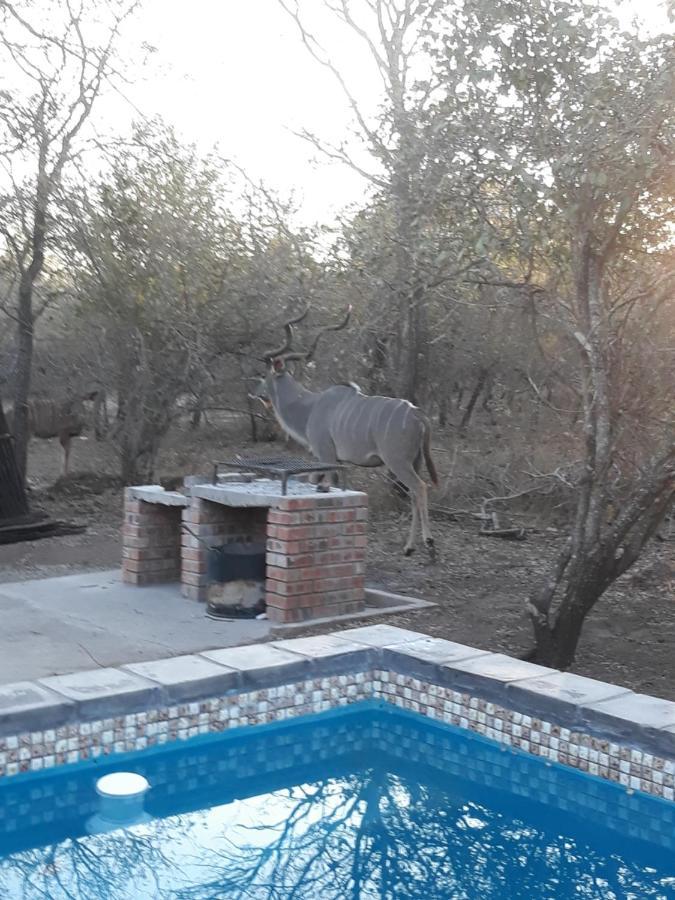 Willa Wild Escape Marloth Park Zewnętrze zdjęcie