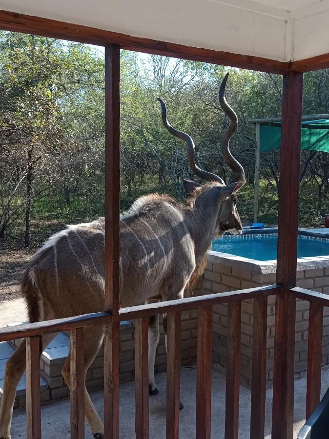 Willa Wild Escape Marloth Park Zewnętrze zdjęcie