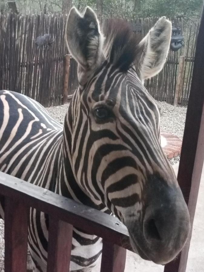 Willa Wild Escape Marloth Park Zewnętrze zdjęcie